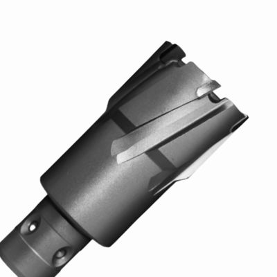 좋은 가격 35mm 절단 깊이 18mm 페인 빠른 칸으로 텅스텐 탄화물 톱니 원형 절단기 온라인